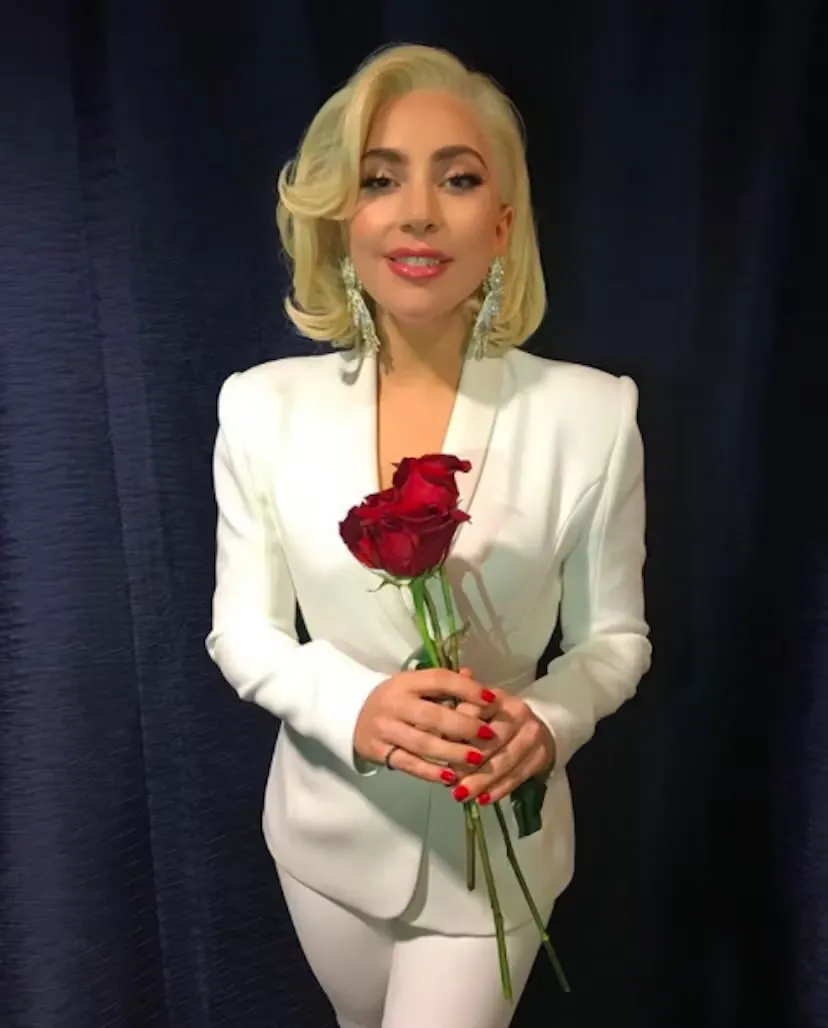 Lady Gaga場地圖