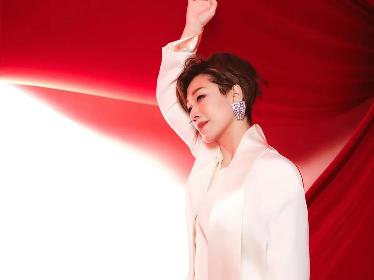 林憶蓮concert
