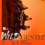 concert-image